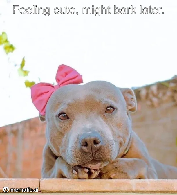 A light brown pit bull with a large pink bow on its head is resting its paws on a ledge, looking directly at the camera with…