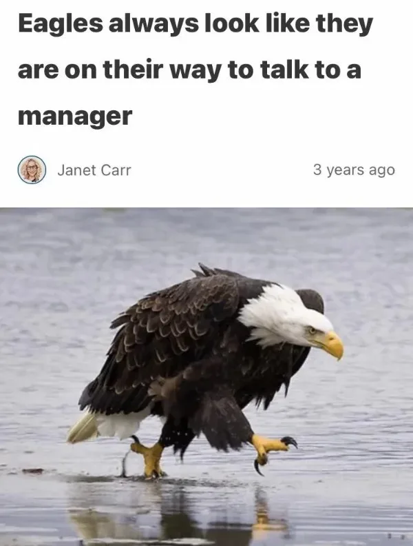 Because they’re having a deep conversation with their lunch...