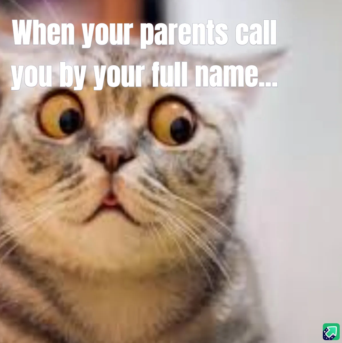 That Unforgettable Feeling When Everything Clicks