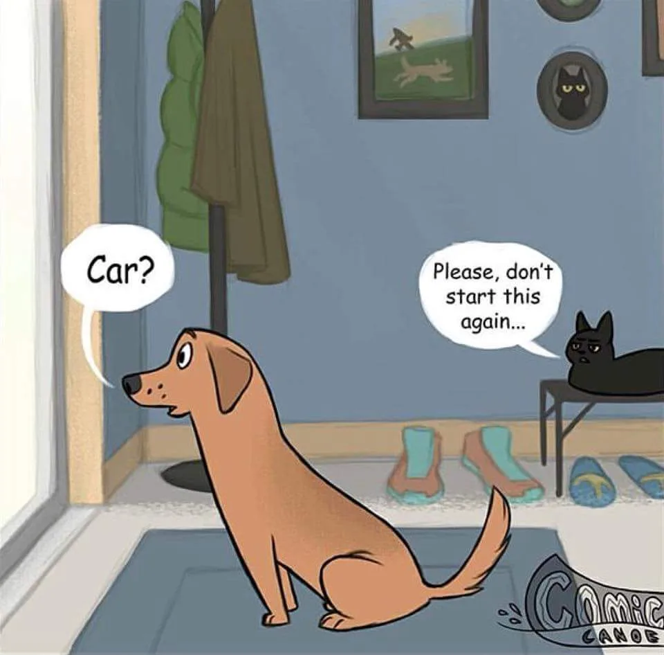 A cartoon brown dog sits by a window looking out, asking 'Car?' in a speech bubble. A black cat lounges on a small table…