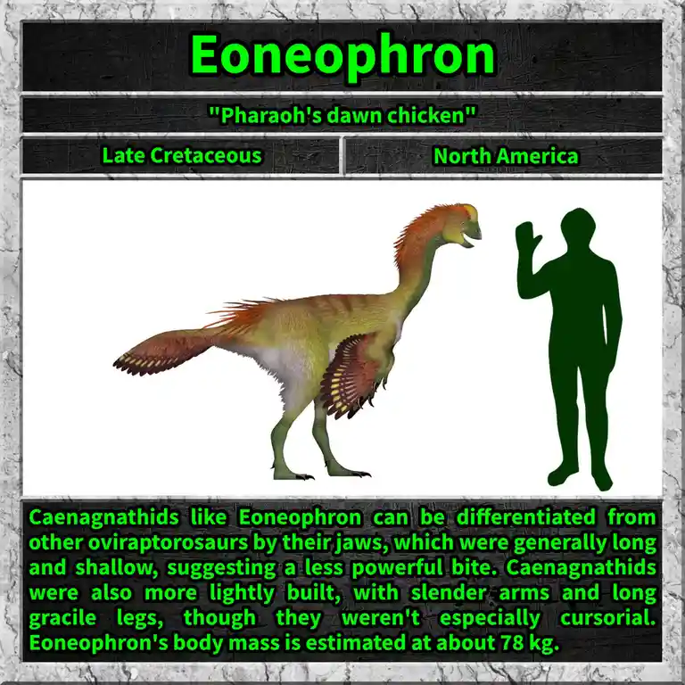 The image displays a digital illustration of the dinosaur Eoneophron, nicknamed 'Pharaoh's dawn chicken,' alongside a human…