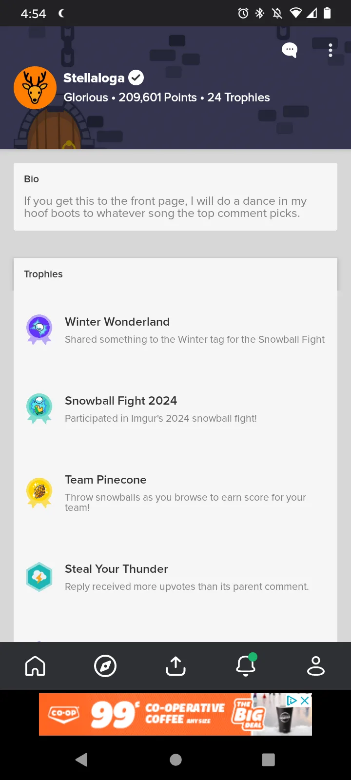 A screenshot of an Imgur user profile for 'Stellaloga', showing a bio that promises to dance in hoof boots to a song chosen…