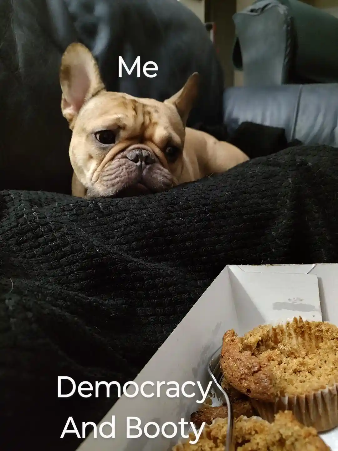 Today's Mood in a Nutshell