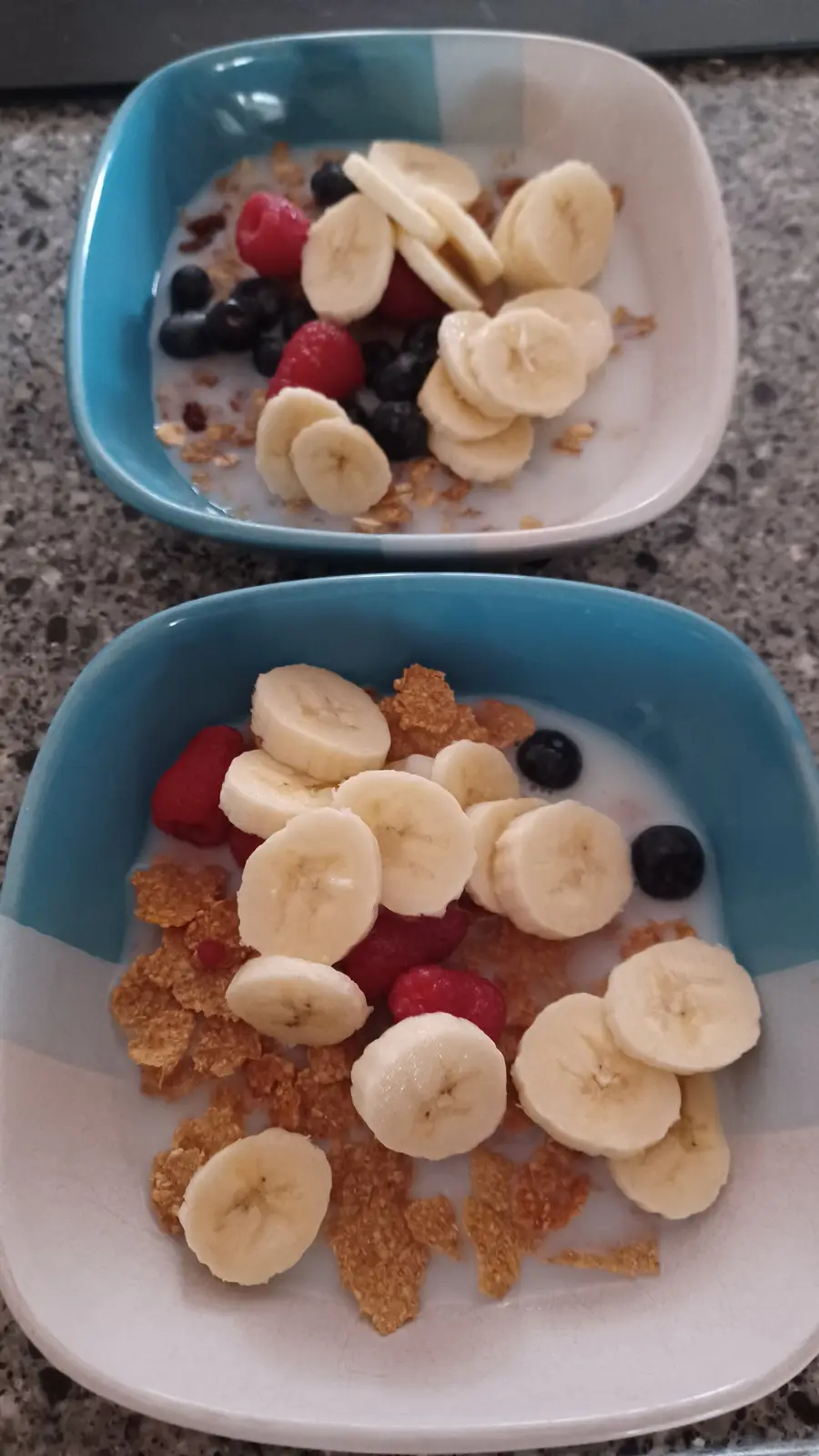 Delicious Fruit Meets Crunchy Cereal