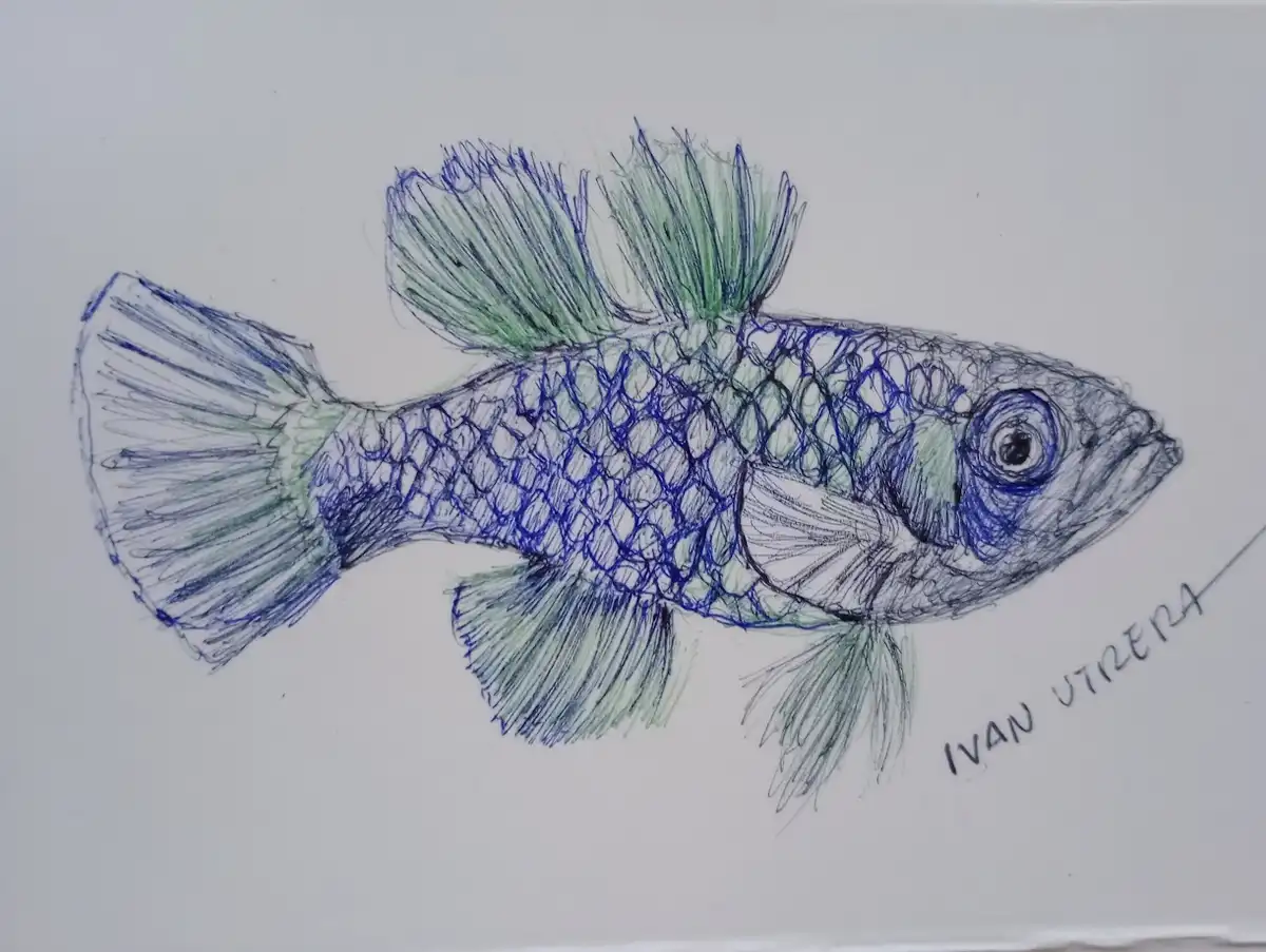 Just a Fishy Moment