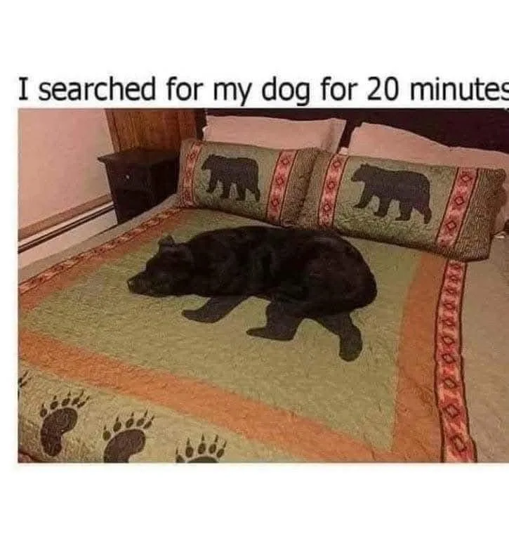 Where on Earth Did That Come From?