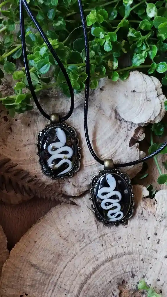 Two identical snake-themed necklaces with black cords and ornate metal frames sit on a wooden surface surrounded by green…