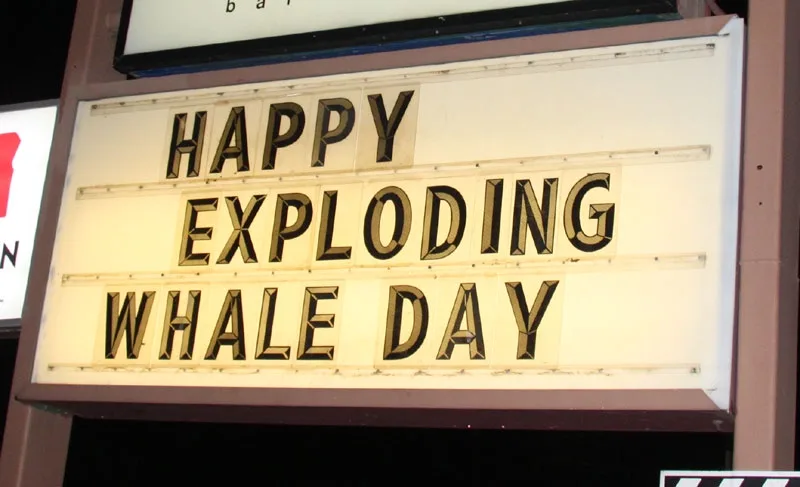 Celebrating Happy Exploding Whale Day!