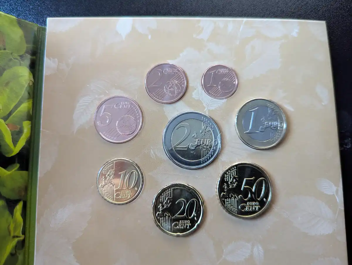 A collection of euro coins, including 1, 2, and 50 cent pieces and a 2 euro coin, arranged on a beige leaf-patterned page in…