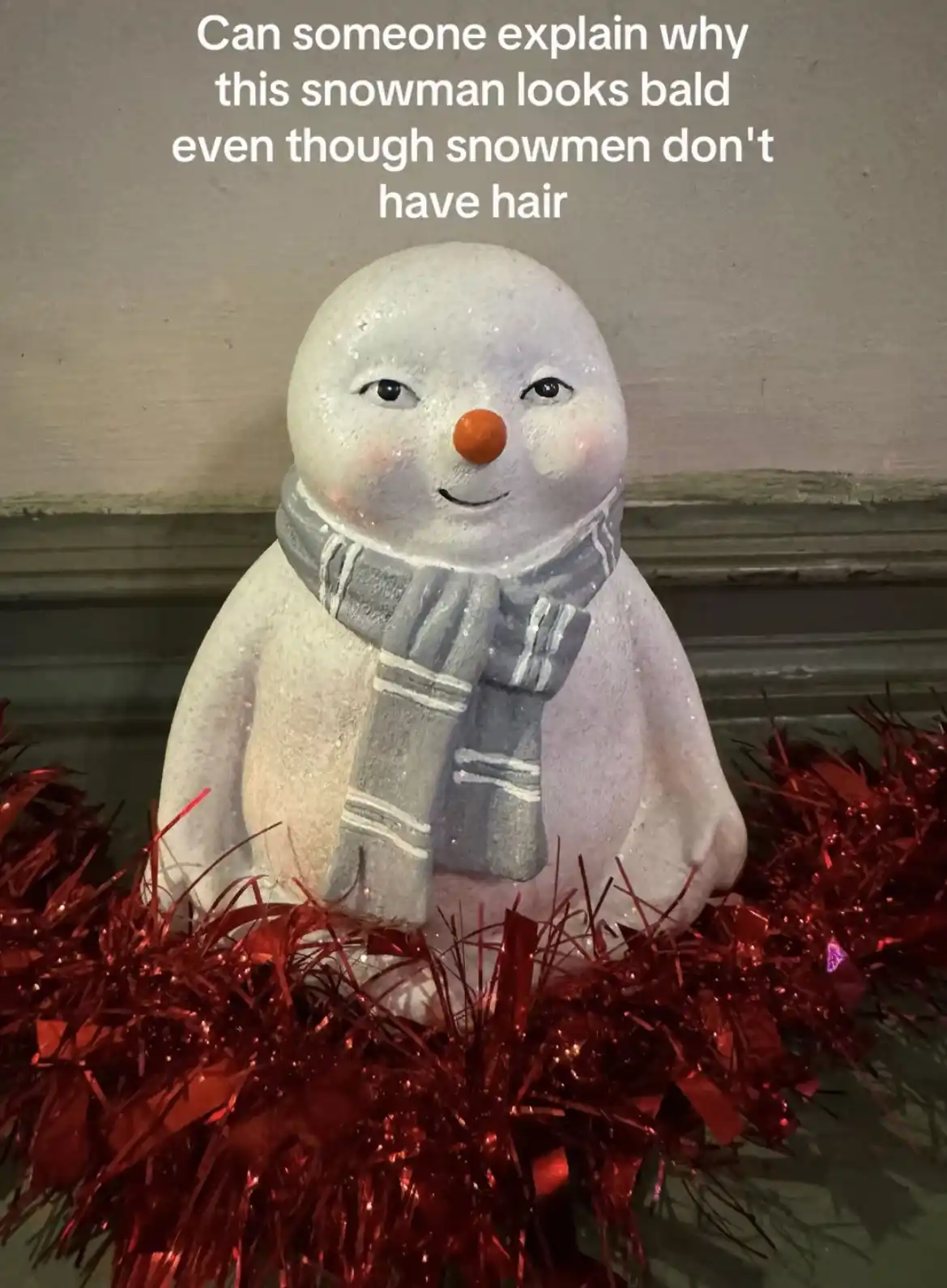This Guy Definitely Looks Like a Bob