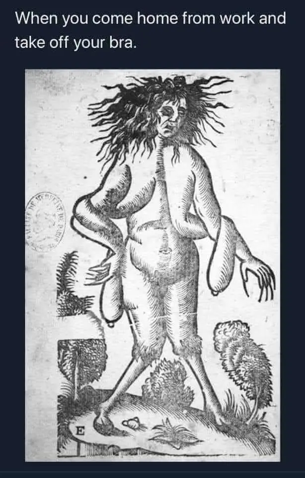 A black-and-white historical woodcut depicts a grotesque, humanoid figure with wild hair, multiple limbs, and a distorted…