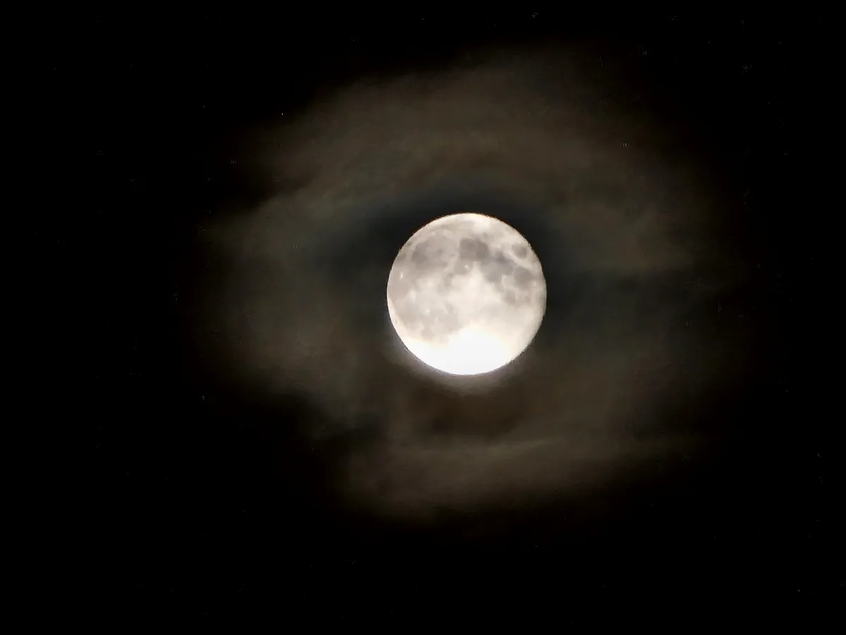 November Moon Over Sweden: A Unique East Coast Perspective