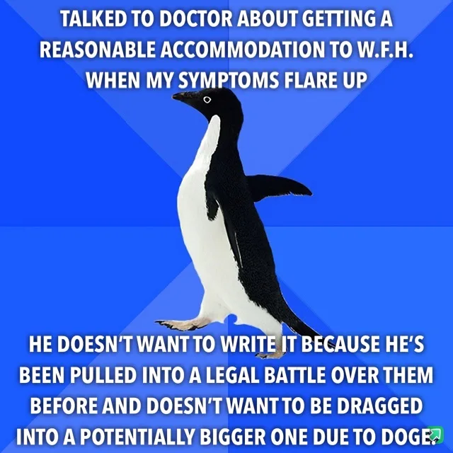 A penguin stands against a blue background with white text overlaid in two sections. The top text reads 'TALKED TO DOCTOR…