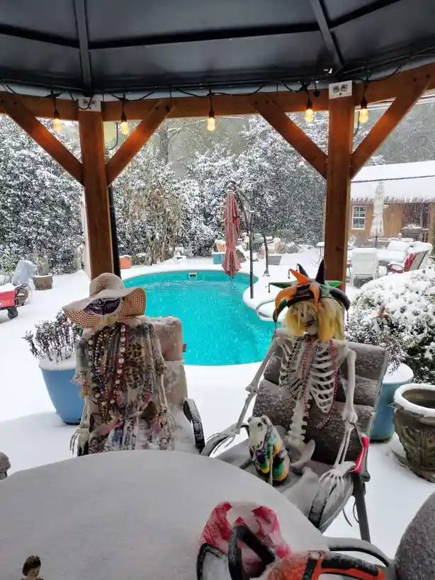 Two skeletons dressed in colorful Mardi Gras costumes and beads sit in patio chairs under a gazebo, surrounded by snow…