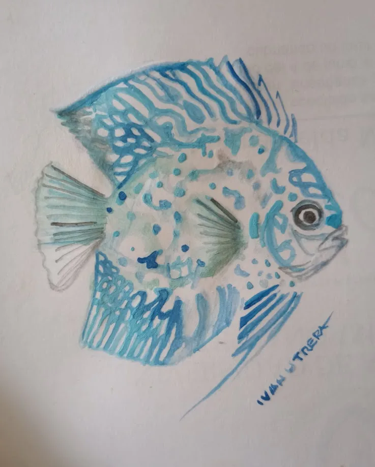 Just a fish, but it’s still captivating!