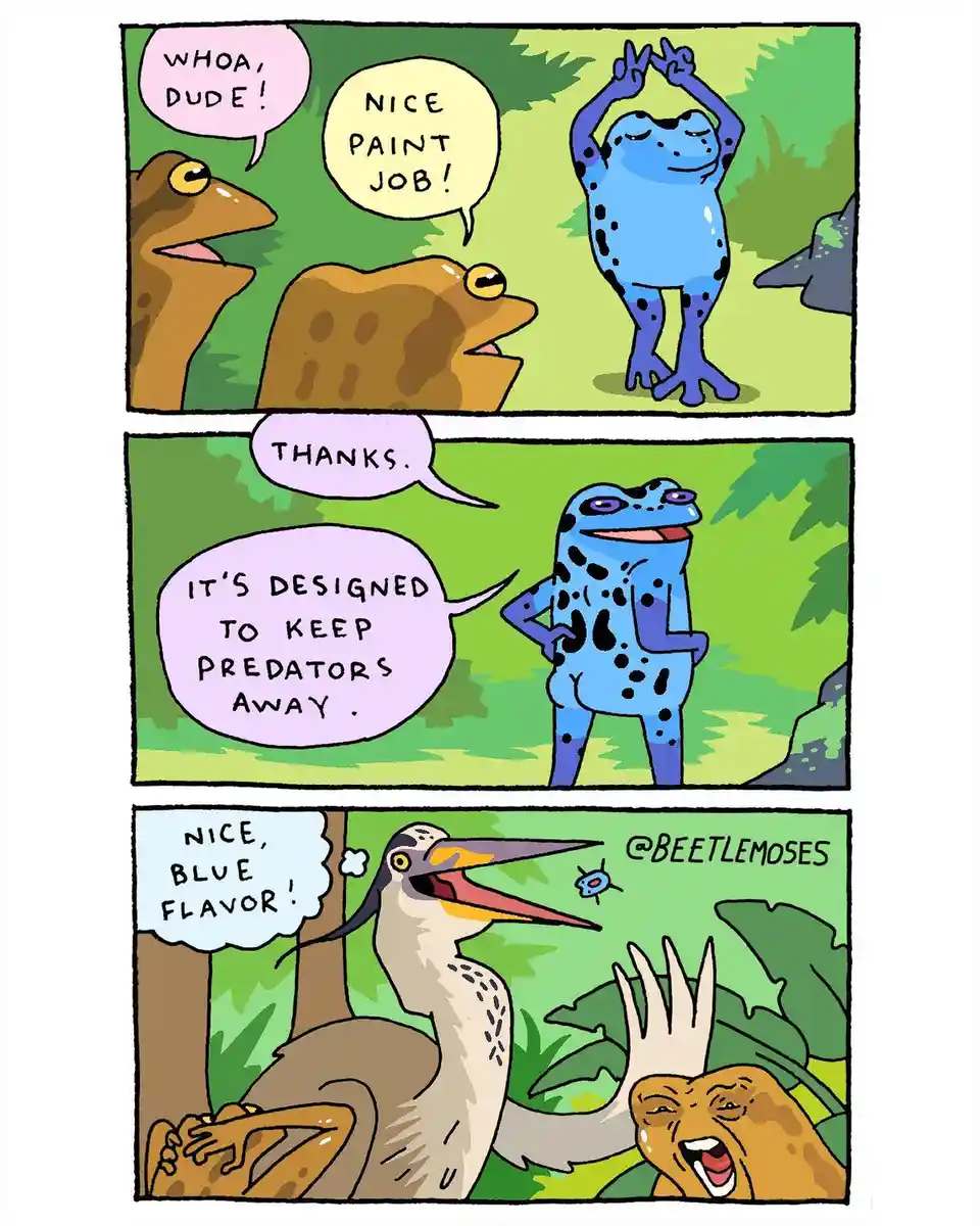 A three-panel comic strip featuring cartoon frogs. In the first panel, two brown frogs admire a blue spotted frog, calling…