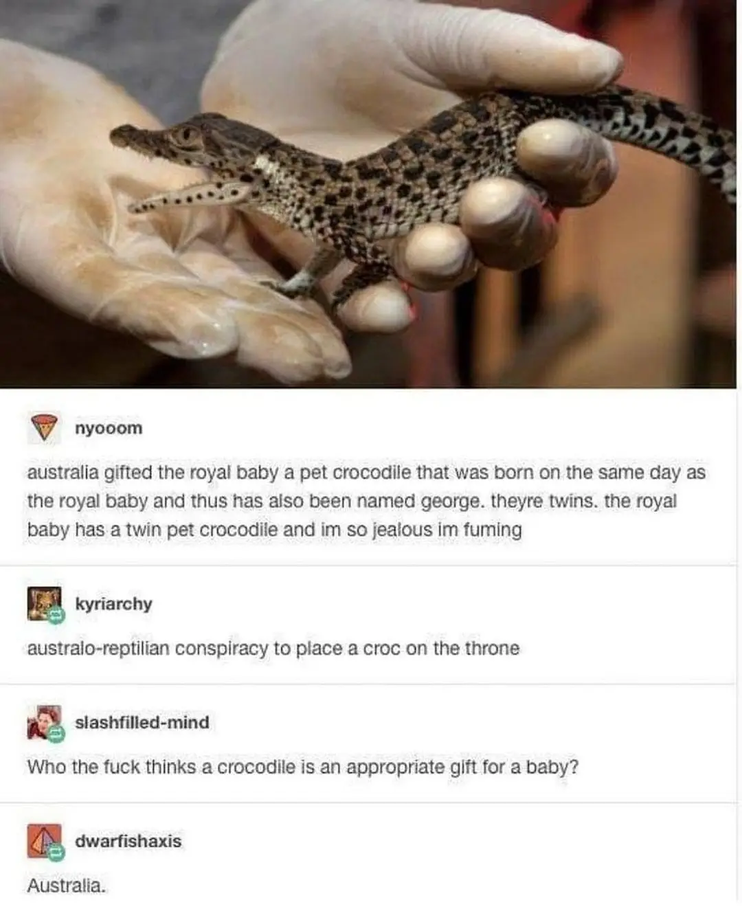 A small baby crocodile is held gently in gloved hands, its spotted skin and tiny limbs visible. Below the image are four…