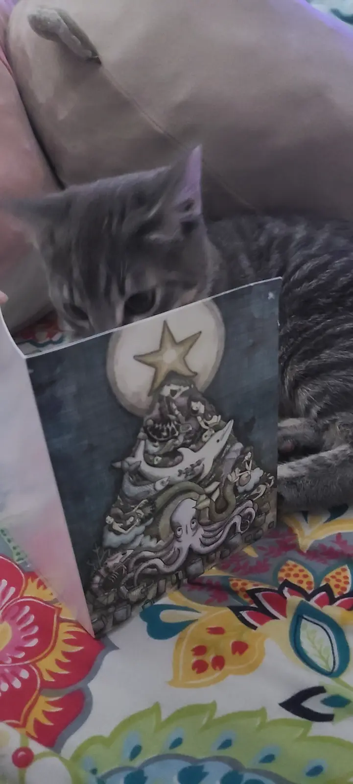 Adorable Holiday Card Featuring an Upset Baby!