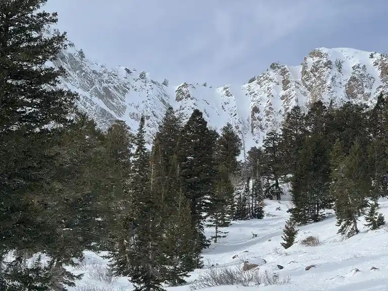 Exploring the Beauty of Snowbasin