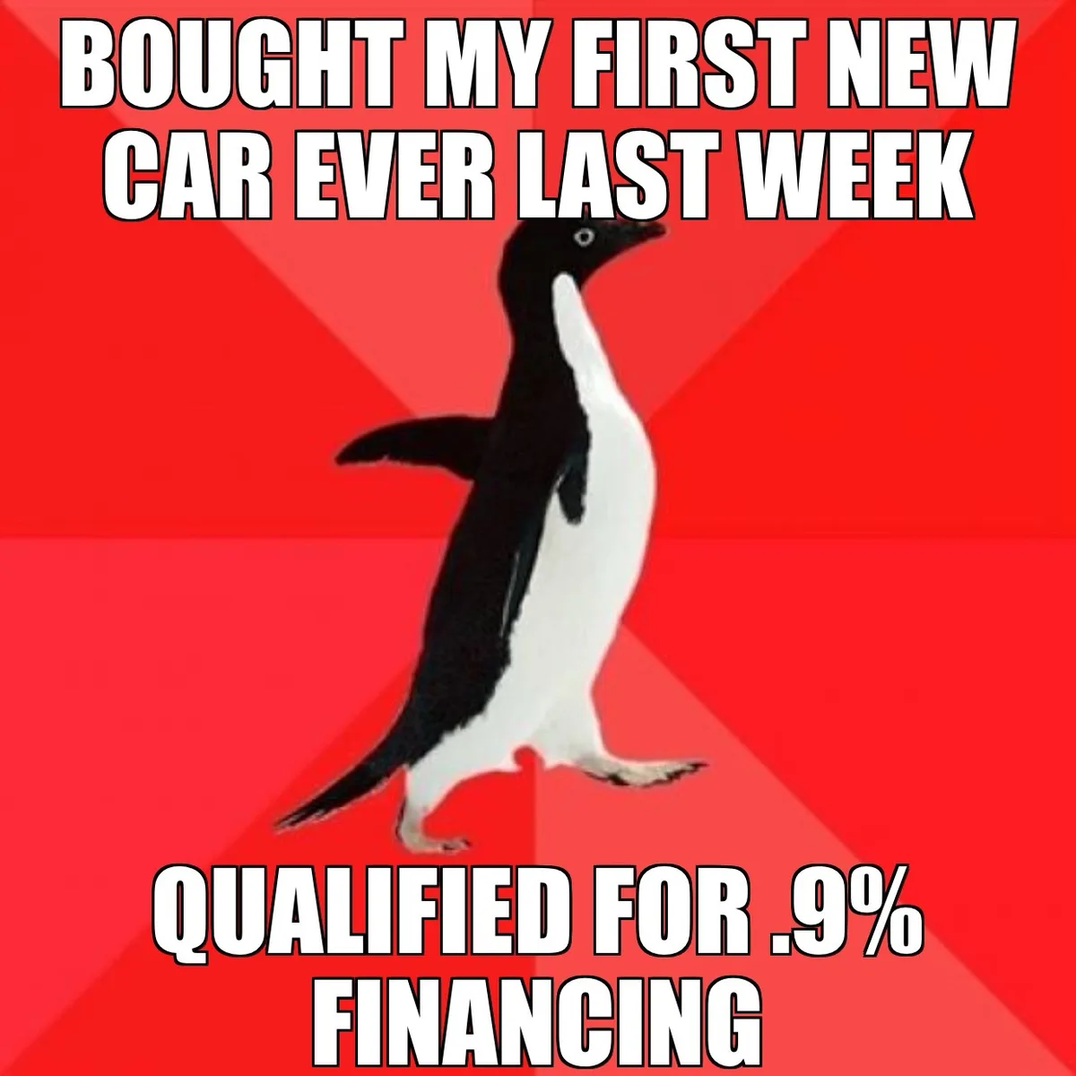A black-and-white penguin walks confidently against a red background with diagonal stripes. The text at the top reads…