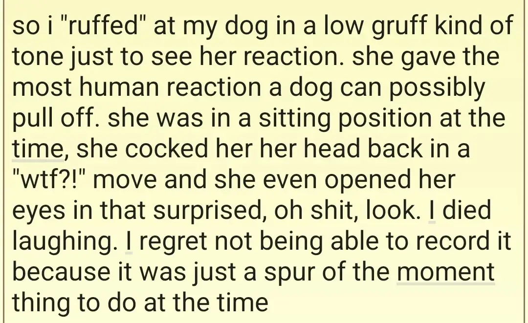 That Moment When You Totally Confuse Your Dog