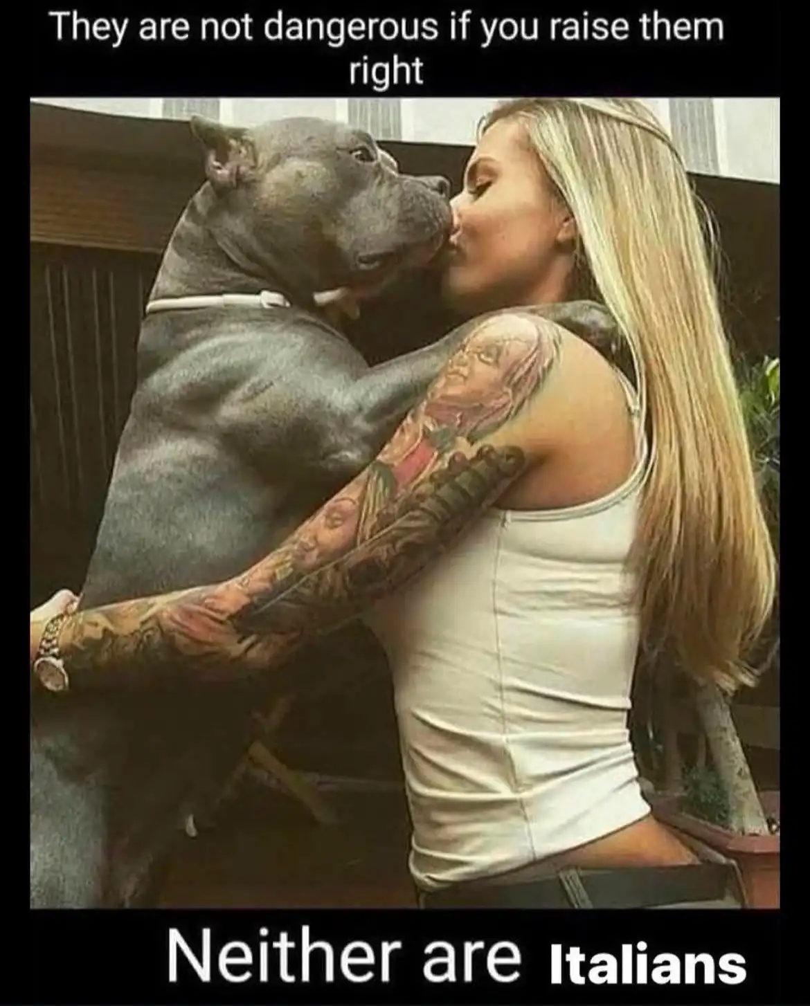 A woman with long blonde hair and a heavily tattooed arm in a white tank top is kissing a large, muscular grey pit bull that…