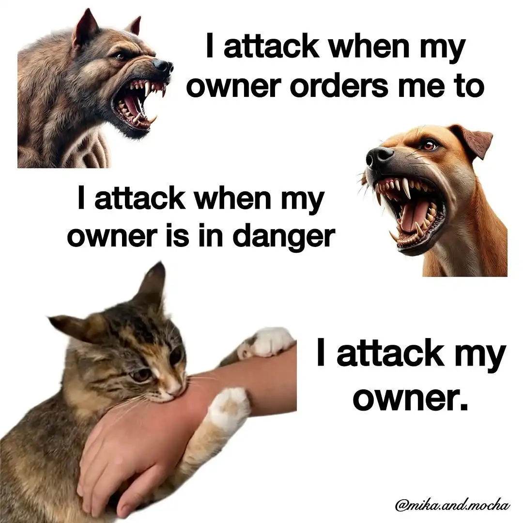 The image displays three animals: a snarling wolf, a snarling dog, and a tabby cat nuzzling a human arm. Text overlays each…