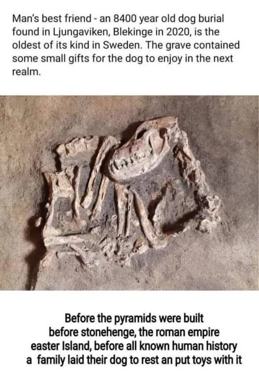 The image shows a fossilized dog skeleton embedded in earth, with text above describing it as an 8400-year-old burial found…