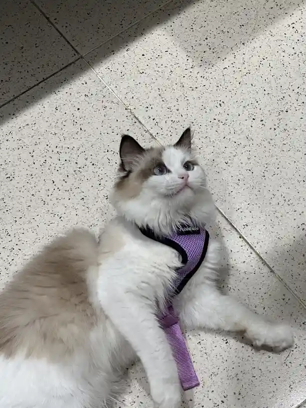 Check out my adorable little one!