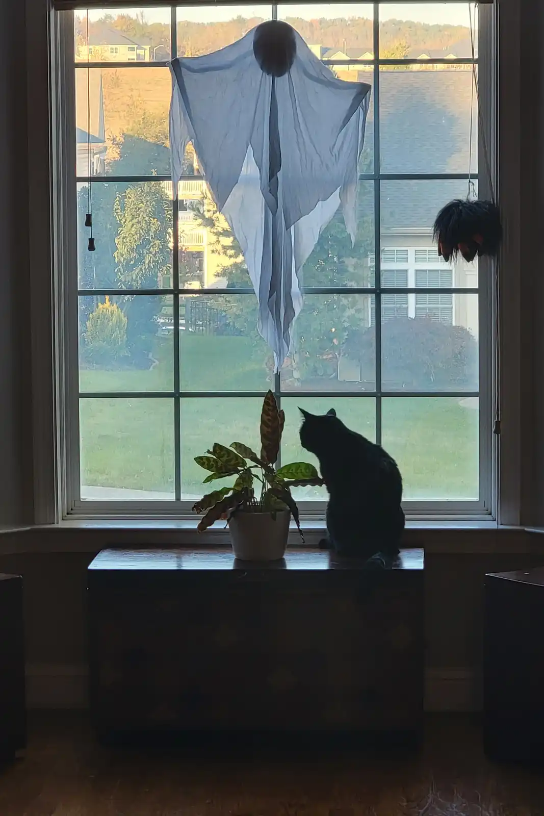 Can You Guess the Halloween Decor?