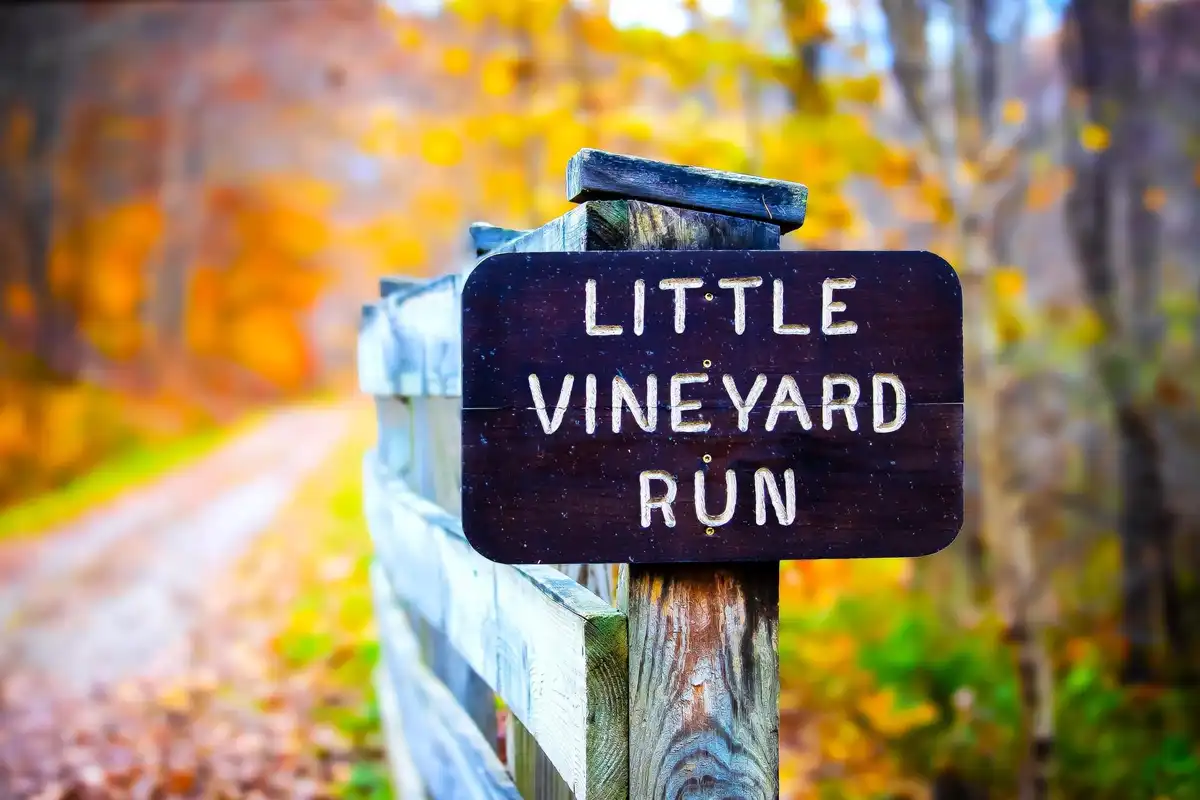 A dark wooden sign with white lettering reading 'LITTLE VINEYARD RUN' is mounted on a weathered wooden fence post. The…