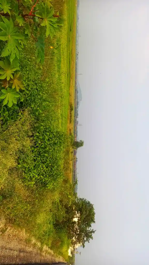 Exploring the Wonders of Nature: What Do You Think?