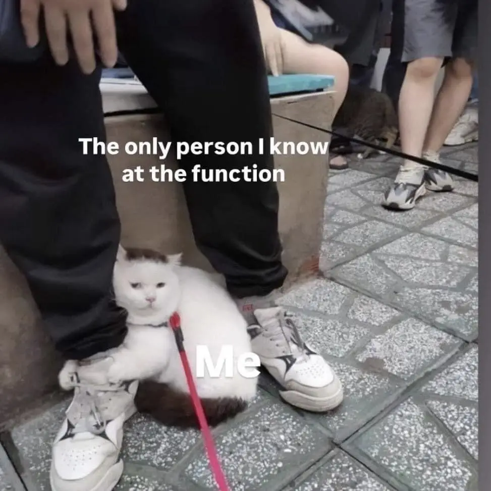 Future Laughs: A Collection of Memes for Later