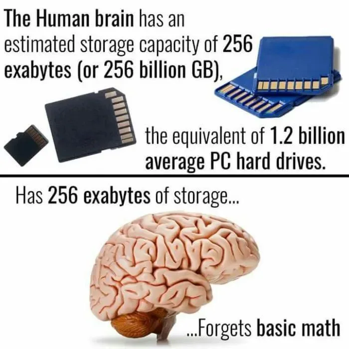 Fascinating Facts About Your Brain