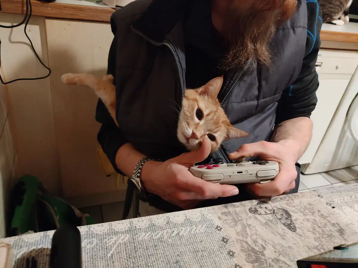 A person with long hair wearing a dark vest holds a light-colored game controller while cradling an orange tabby cat. The…