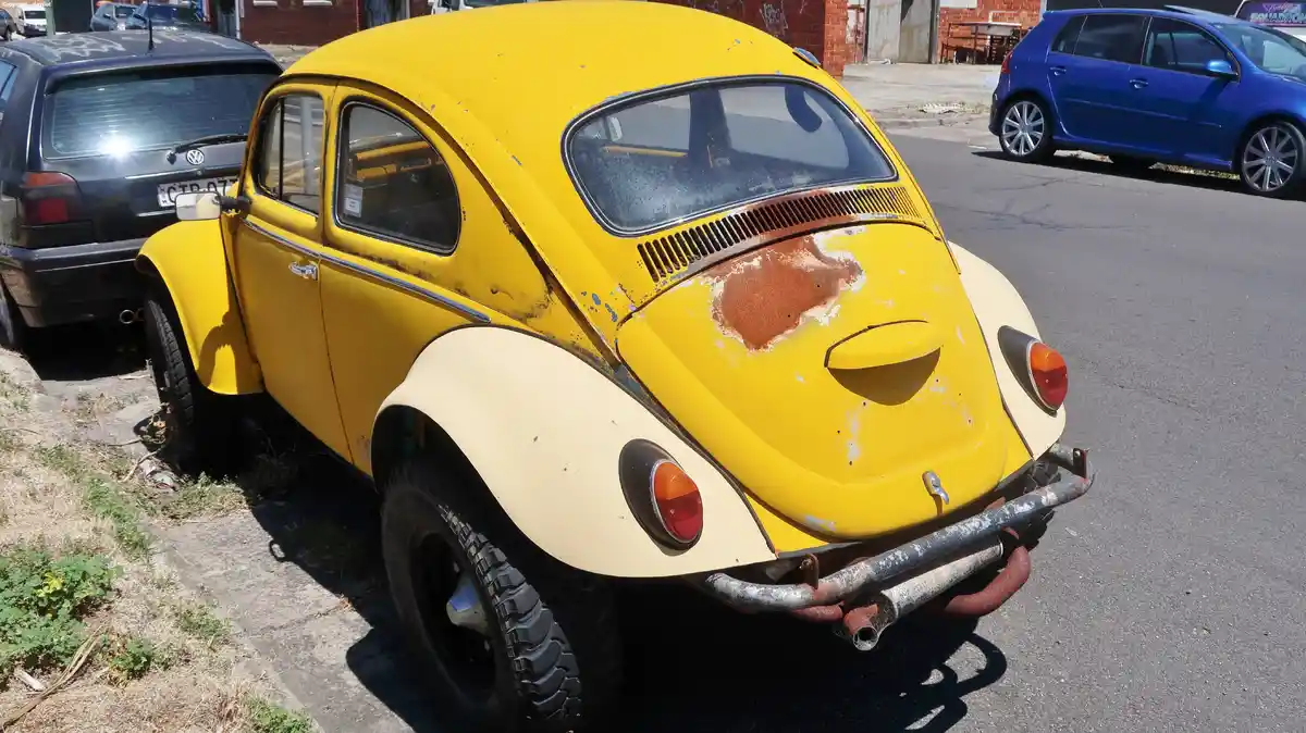 Beetle: Nature's Little Marvel