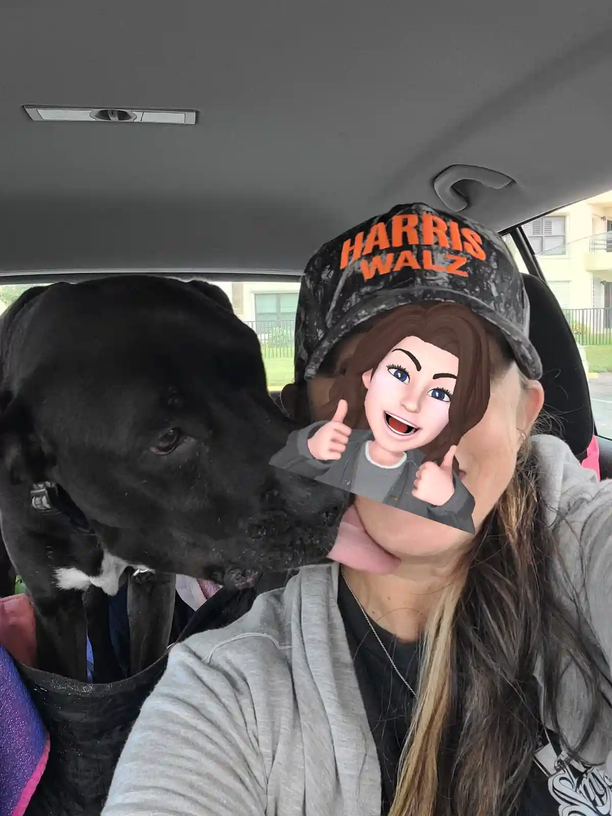 A selfie from inside a car shows a woman wearing a 'HARRIS WALZ' cap, with a large black dog licking her face. A cartoon…