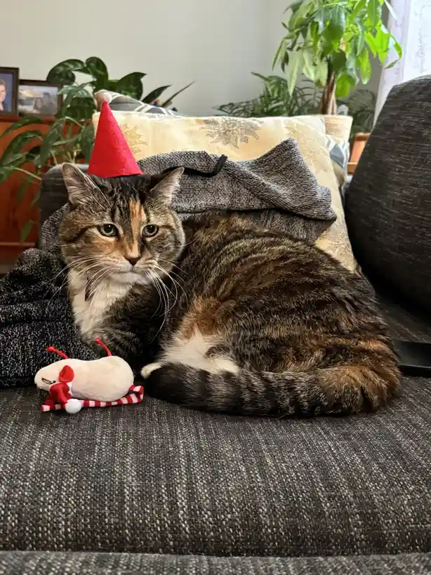 Sending Warm Christmas Wishes from Virginia