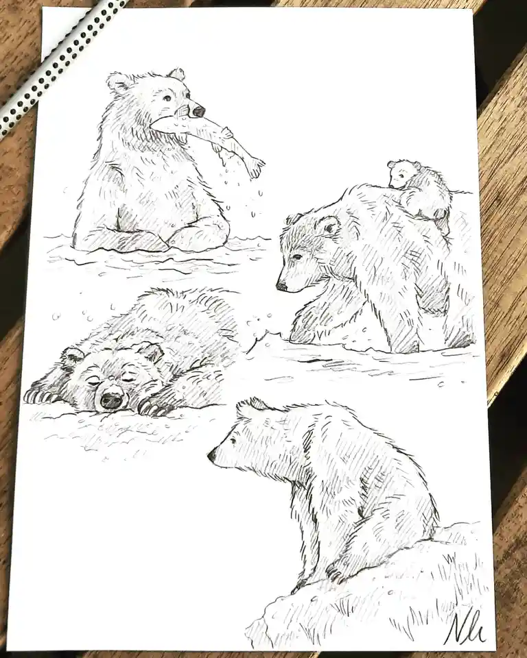 My Artistic Tribute to Bears