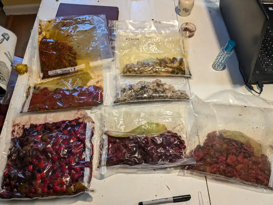 Delicious Ferments Galore in My Pantry!