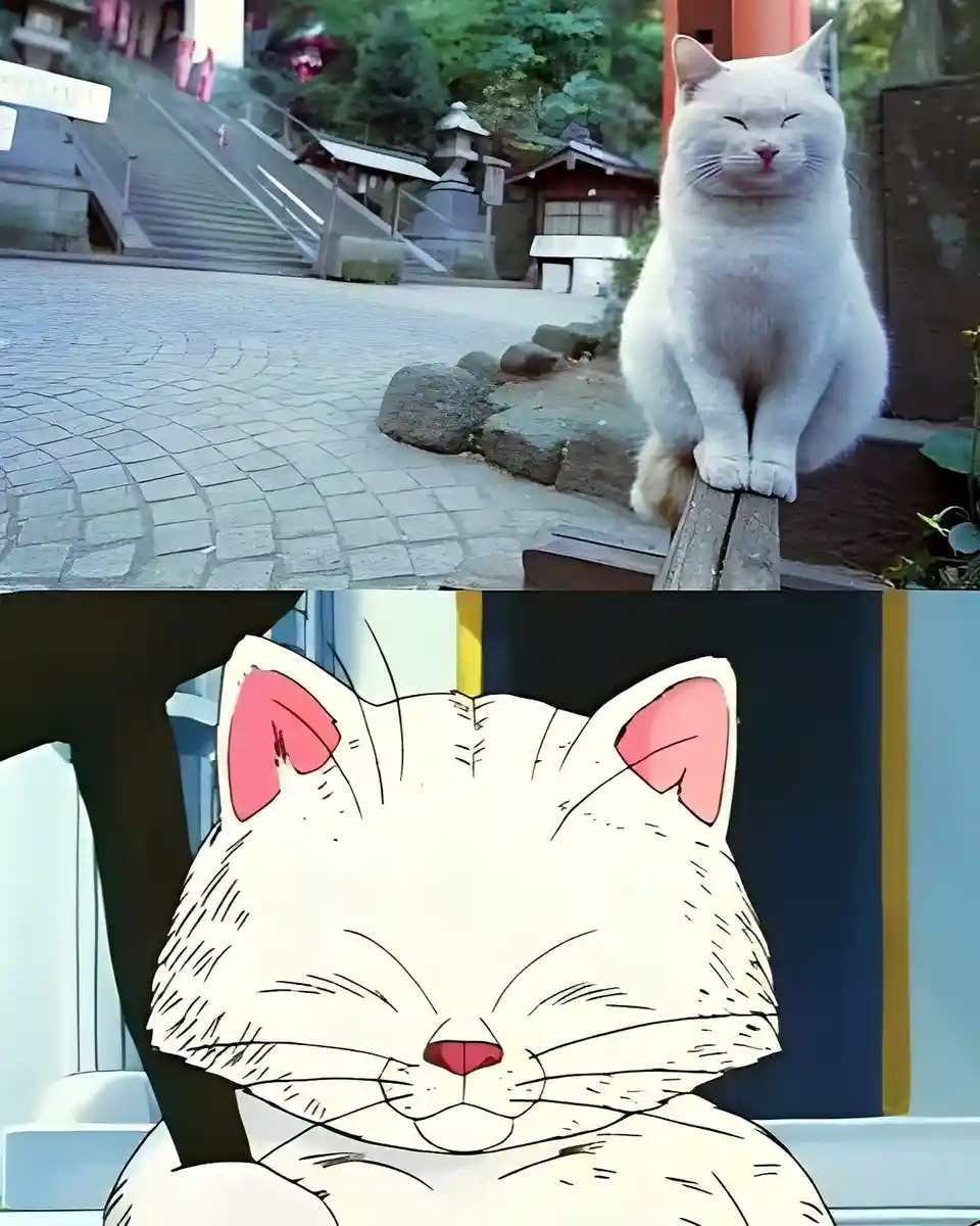 the image is split into two halves: the top shows a real white cat sitting serenely on a wooden post in front of a…