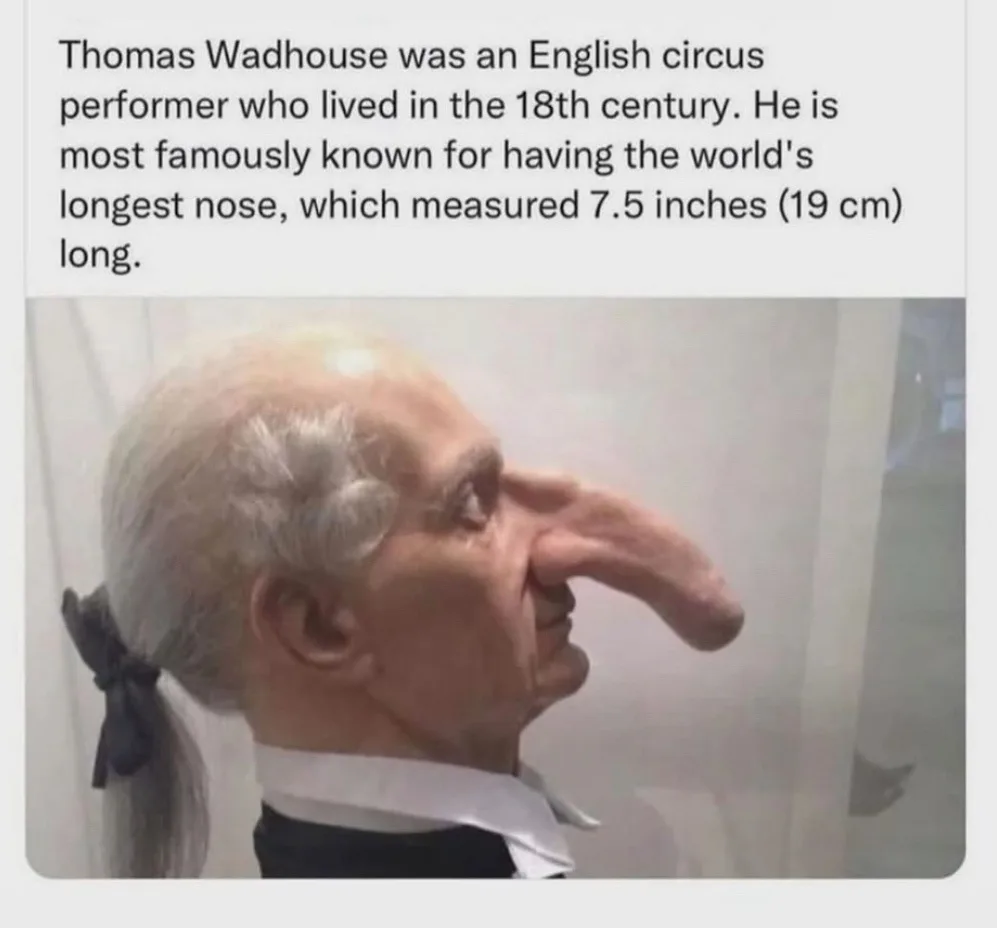 The image shows a man with an extremely long, protruding nose, dressed in historical attire with white hair tied back by a…