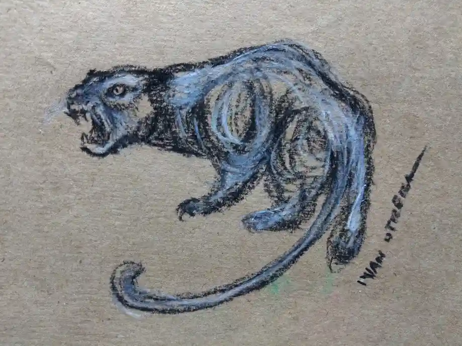 Just a puma being a puma