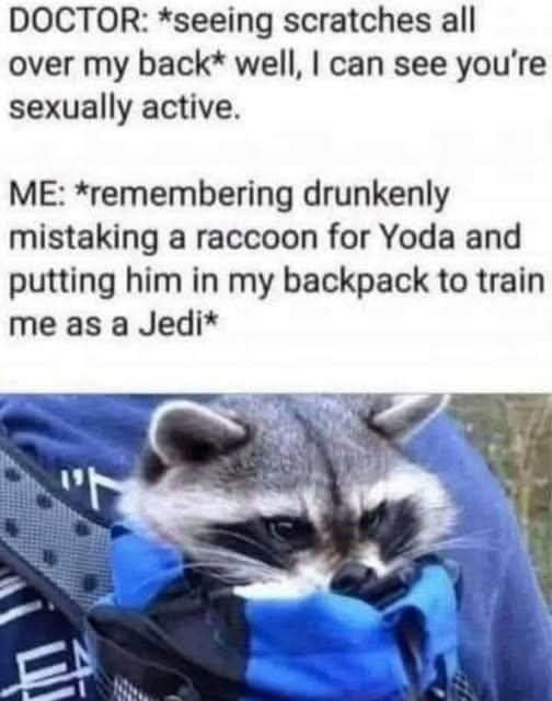 A raccoon is shown nestled inside a blue backpack, looking grumpy or annoyed. The image is overlaid with text in two parts…