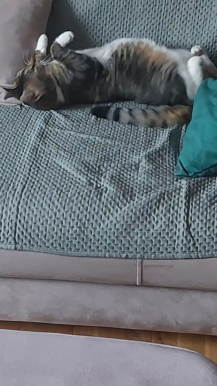Lost in thought, staring at the ceiling