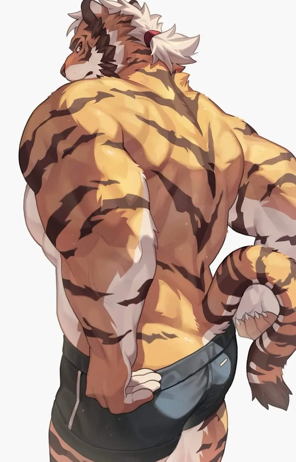 Meet the Adorable Big Kitty