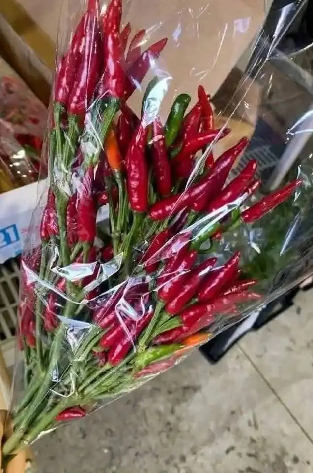 A hand holds a clear plastic-wrapped bouquet of red and green chili peppers, resembling a floral arrangement. The overlaid…