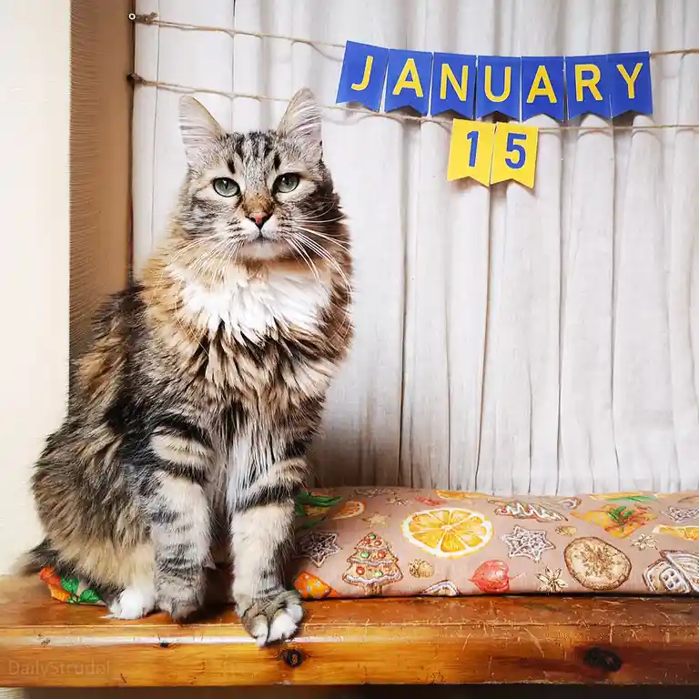 Mark your calendars: January 15 is here!