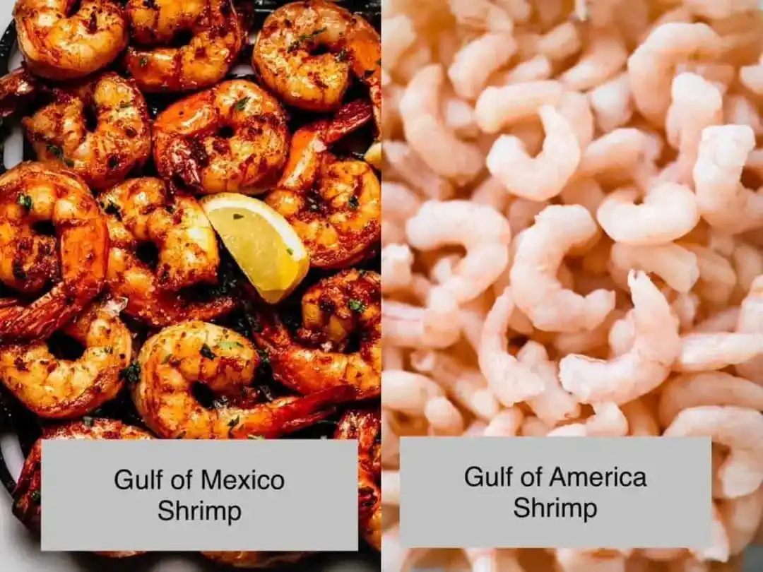 The image is split into two panels. The left panel shows cooked, seasoned shrimp with a lemon wedge, labeled 'Gulf of Mexico…