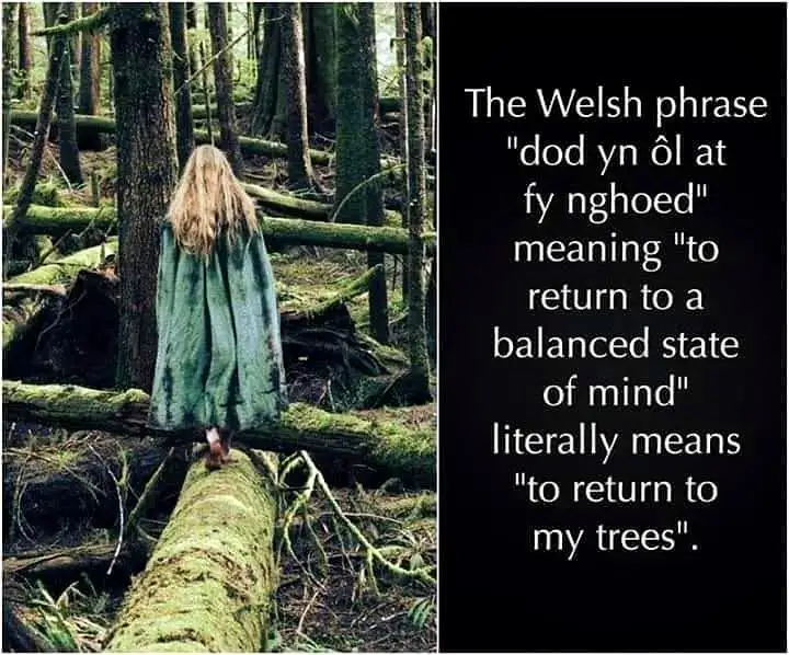 A person with long blonde hair, wearing a green cloak, stands barefoot on a mossy fallen log in a dense forest, facing away…
